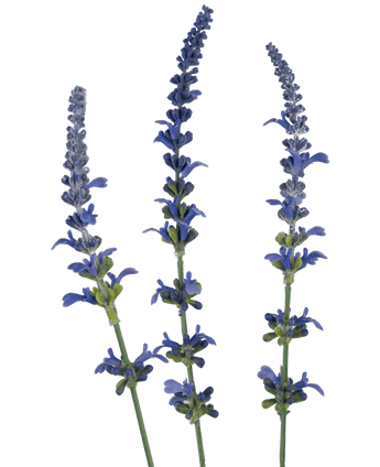 Künstlicher Zweig Lavendel 66 cm blau