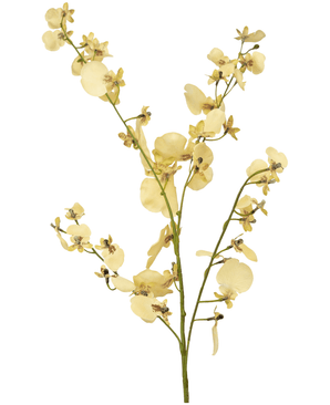 Künstlicher Zweig Orchidee 80 cm beige