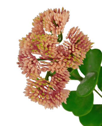 Künstlicher Zweig Sedum 56 cm hellrosa