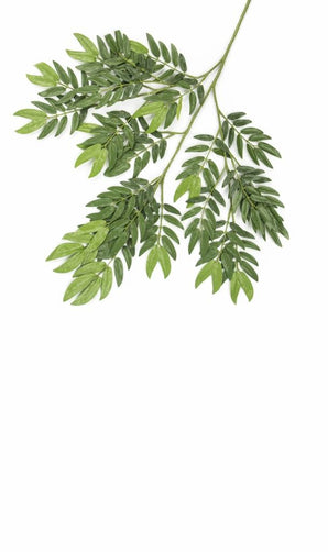 Künstliches Blatt Ming Aralia 50 cm grün feuerhemmend