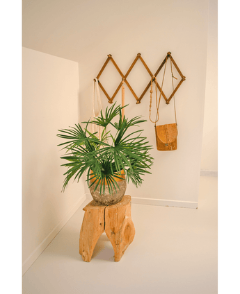 Kunstpflanze Baby Palm Fan im Topf 50 cm