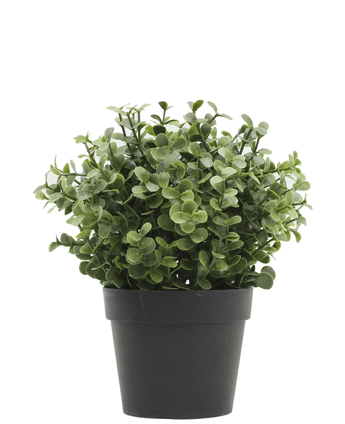 Kunstpflanze Buxus grün im Topf 19 cm UV