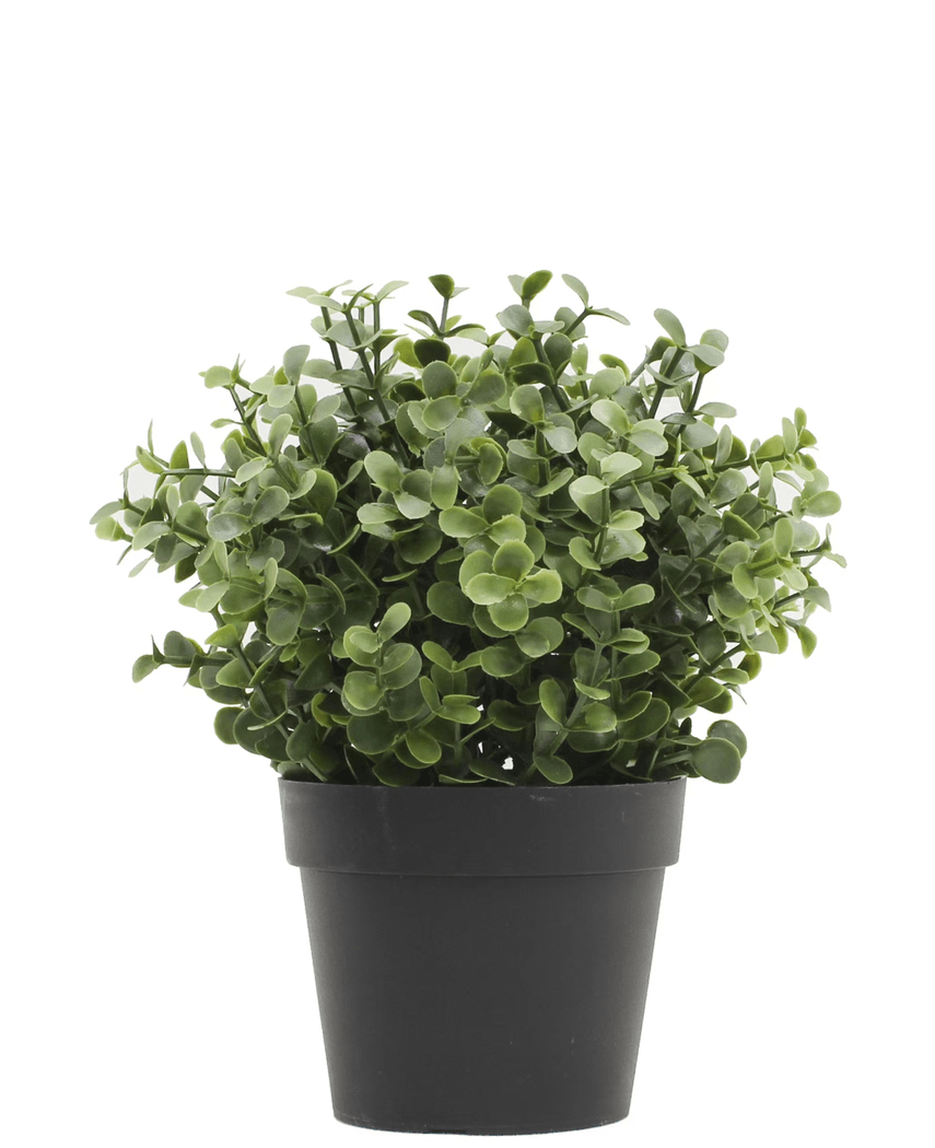 Kunstpflanze Buxus grün im Topf 19 cm UV