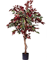 Kunstpflanze Ficus grün/rot 150 cm