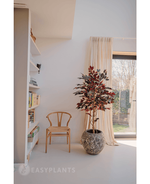 Kunstpflanze Ficus grün/rot 150 cm