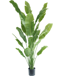 Kunstpflanze Strelitzia Nicolai Deluxe 215 cm