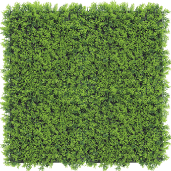 Kunstpflanzen Wand Cupressus 50x50 cm UV