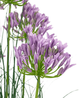 Kunstrasen lila Agapanthus Zwiebelgras Topf 90cm feuerhemmend