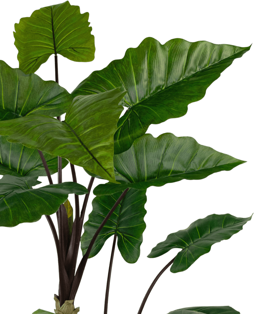 Kunstpflanze Alocasia 180 cm