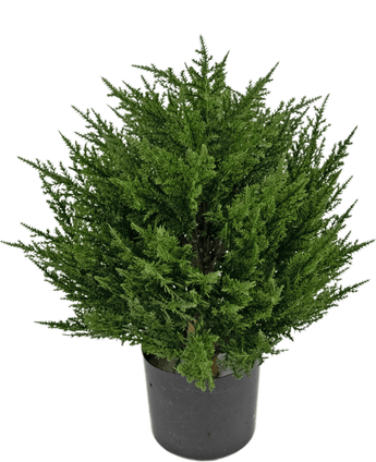 Planta hoja de pino Deluxe UV 40 cm