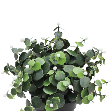 Künstliche Pflanze Eukalyptus weiß im Topf 22 cm UV