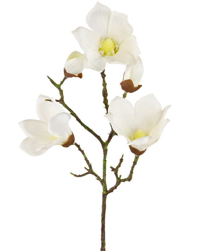 Künstliche Magnolie Real Touch Weiß 72cm