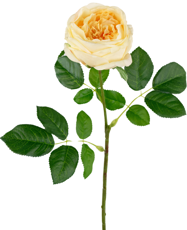 Künstliche Gartenrose "Anniken" Real Touch gelb 72cm