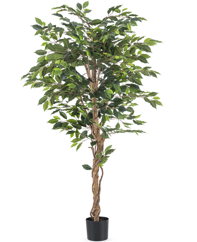 Künstliche Pflanze Ficus 180 cm feuerhemmend