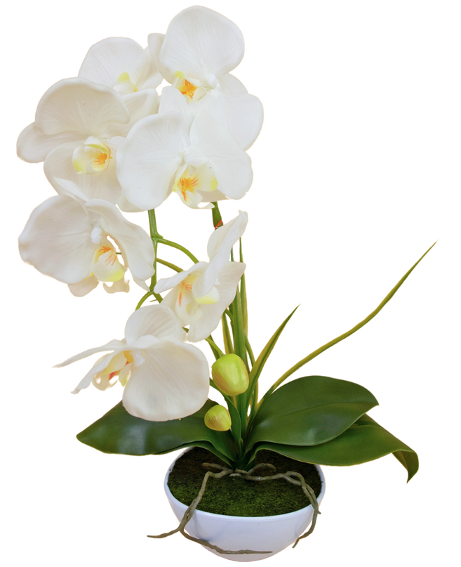 Künstliche Orchidee 50 cm weiß im Topf