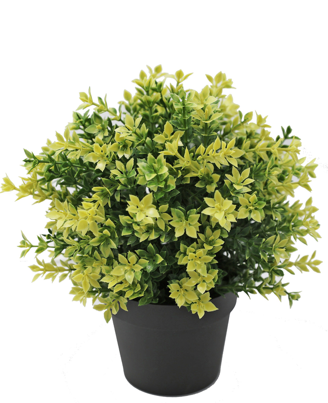 Künstliche Pflanze Buxus gelb 22 cm UV