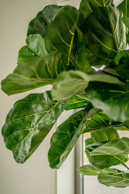 Künstliche Tabakpflanze Ficus Lyrate 225 cm