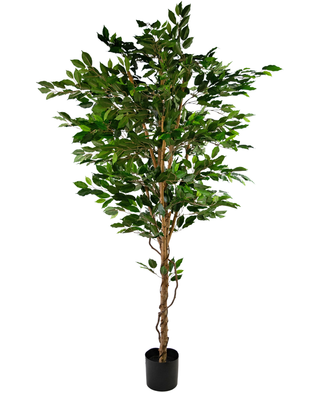 Künstliche Pflanze Ficus Grün 210 cm