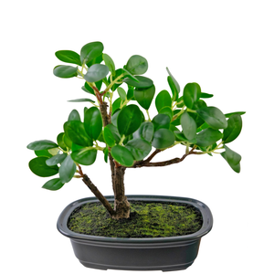 Künstliche Pflanze Bonsai Ficus 20 cm