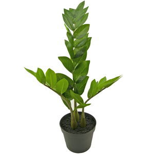 Künstliche Pflanze Zamioculcas 50 cm
