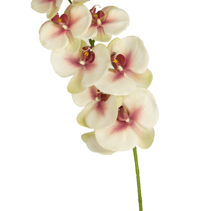 Künstliche Orchidee Real Touch Deluxe 105 cm rosa/weiß