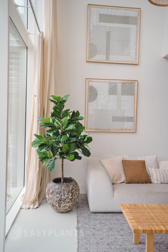 Künstliche Tabakpflanze Ficus Lyrate 150 cm