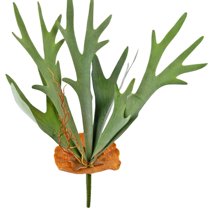 Künstliche Pflanze Staghorn 53 cm
