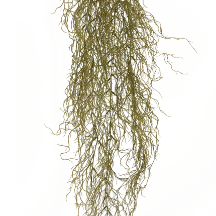 Künstliche Hängepflanze Sudo 110 cm