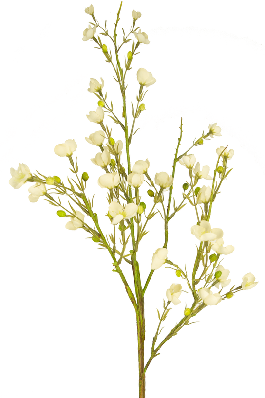Künstliche Blume Wild Waxflower 85 cm creme