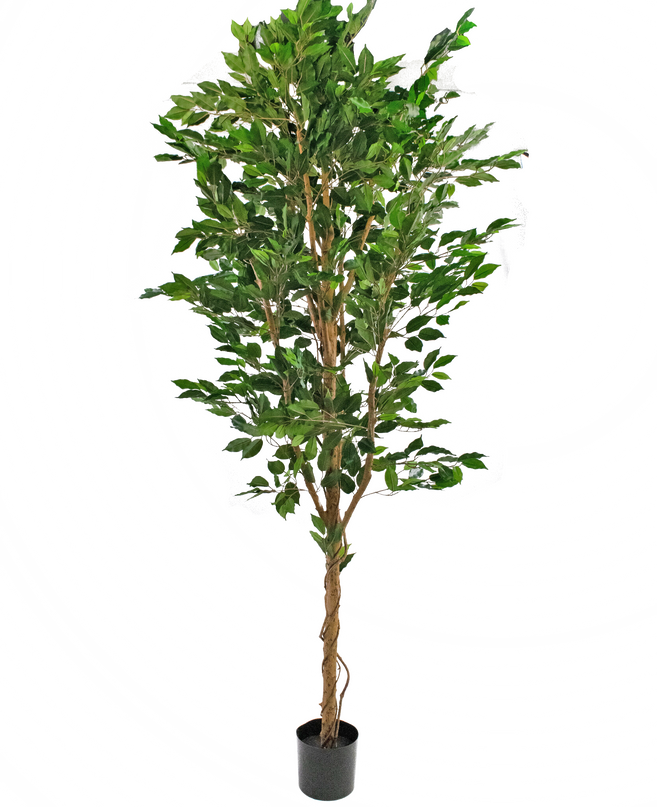 Künstliche Pflanze Ficus Grün 210 cm