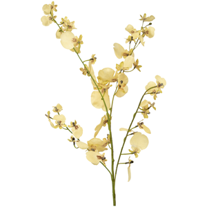 Künstlicher Zweig Orchidee 80 cm beige