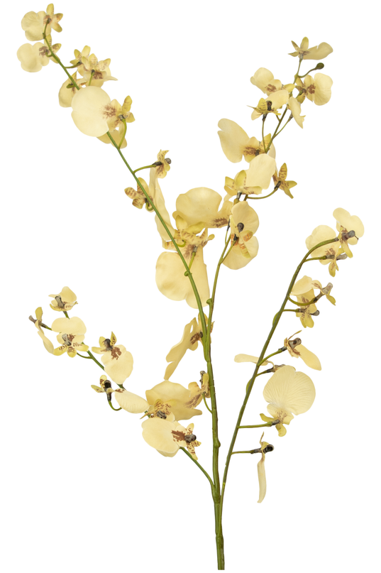 Künstlicher Zweig Orchidee 80 cm beige