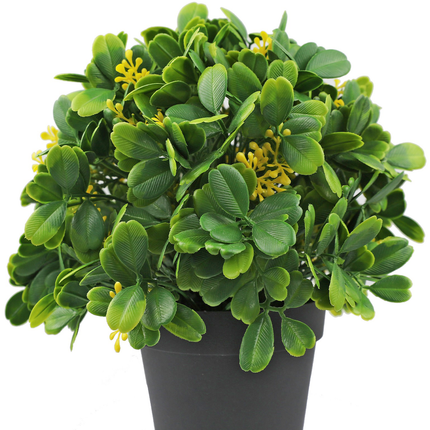 Künstliche Pflanze Grün/Weiß 21 cm UV
