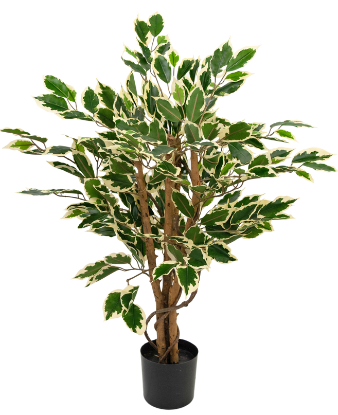 Kunstpflanze Ficus Grün/Weiß 90 cm