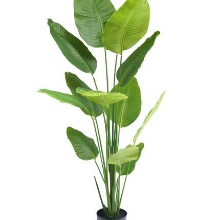 Künstliche Pflanze Strelitzia 180 cm real touch
