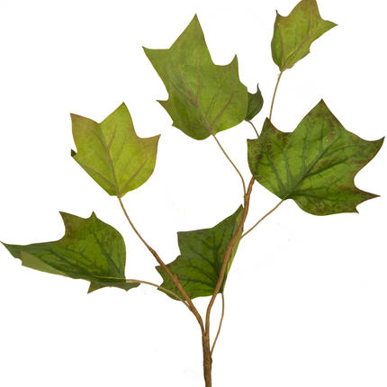 Künstliches Eichenblatt 84 cm grün