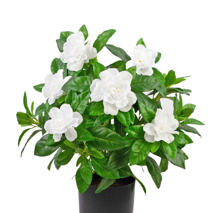 Künstliche Pflanze Gardenia 39 cm weiß