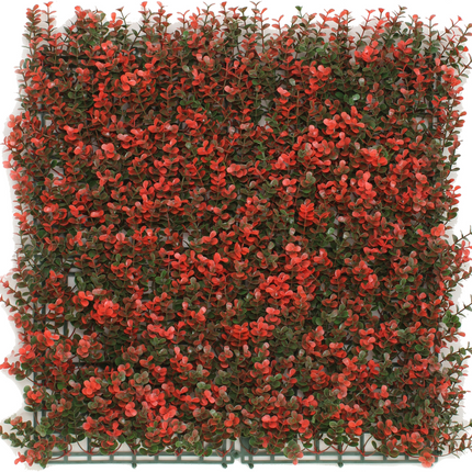Kunstpflanzen Wand Buxus rot 50x50 cm UV