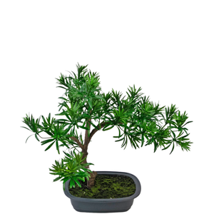 Künstliche Pflanze Bonsai Podocarpus 40 cm