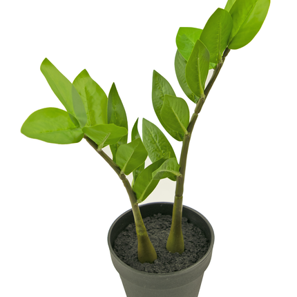 Künstliche Pflanze Zamioculcas 35 cm