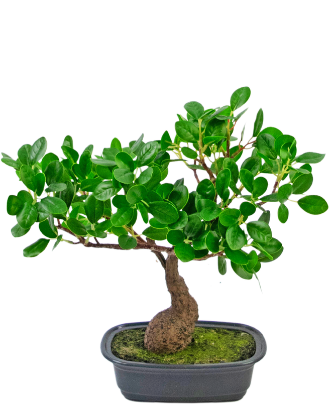 Künstliche Pflanze Bonsai Ficus 30 cm