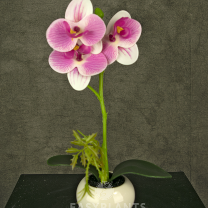 Künstliche Orchidee 28 cm weiß/rosa im Topf