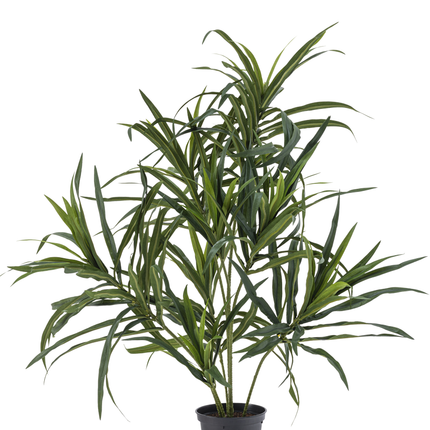 Kunstpflanze Dracaena Reflexa im Topf 63 cm